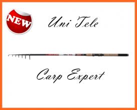 Carp Expert Uni IM6 Carbon 3,9m 80-120gr Tele Bot