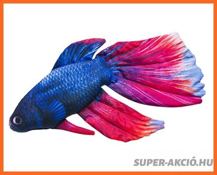 Sziámi Harcos Hal Halas Párna 50cm Horgász Ajándék