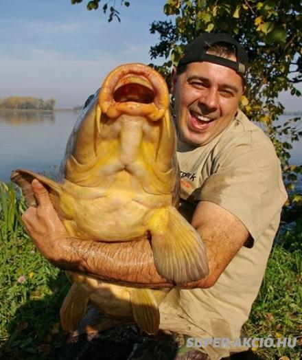 Rákos Epres Bojli 1kg 24mm