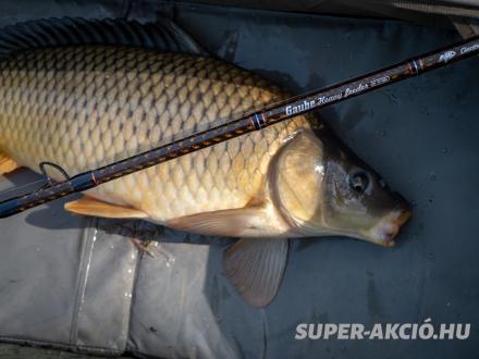 Giants Fishing Gaube Feeder Horgászbot 360cm 50-130g 3+3 Részes 4